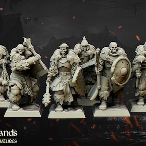 Puede incluir: Cinco guerreros esqueléticos en miniatura con capas forradas de piel y armas, incluyendo hachas, espadas y escudos. Las figuras están pintadas en color gris claro y se colocan en bases individuales.