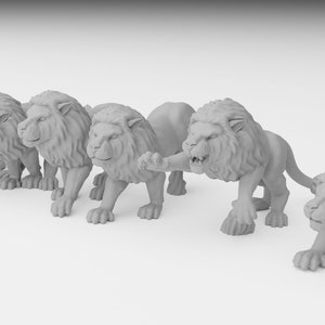 Lions and Lioness