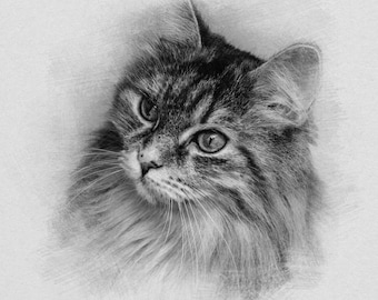 Pet digital pencil sketch from photo | Custom dog cat painting from photo | Pet memorial portrait | Personalised gift
