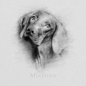 Retrato de mascota dibujado a lápiz a partir de una foto / Boceto digital con imitación de lápiz / Pintura de perro y gato personalizada / Retrato conmemorativo de mascota