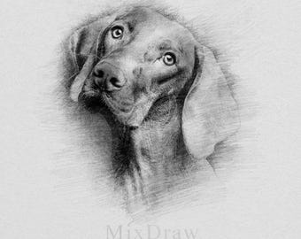 Custom Pet Portrait Pencil Sketch from Photo (Digital File)