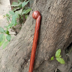 May include: A close-up of a wooden walking stick with a carved top. The stick is a reddish-brown color and has a detailed pattern carved into the wood.