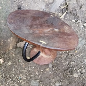 Puede incluir: Un taburete de madera marrón oscuro con un diseño único y curvo. El taburete tiene un asa de metal negro y detalles dorados.