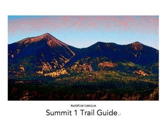 SAMPLE MasterPoint Curriculum Summit 1 Trail Guide (11th Grade) DIGITAL SAMPLE