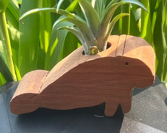 Live Air Plant in Real Wood Manatee Display Made in Wisconsin