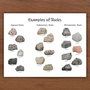 Common Rocks Classroom Poster: igneous, sedimentary, & metamorphic - geology for kids, homeschool decoration, nature study, earth science