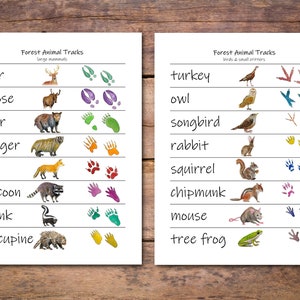 Animal Tracks Posters: guide to forest animal tracks, woodland creature paw prints, nature classroom decoration