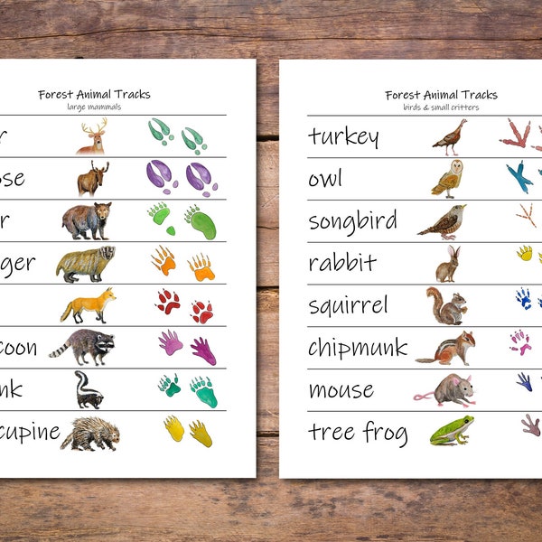 Animal Tracks Posters: guide to forest animal tracks, woodland creature paw prints, nature classroom decoration