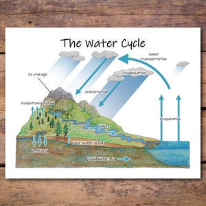 The Water Cycle Diagram: printable classroom poster, earth science homeschool décor
