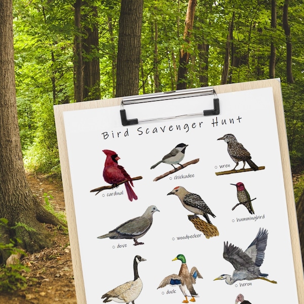 Bird Scavenger Hunt: bird watching for kids, afterschool activity, camp game, nature study, field trip activity, backyard birds, birding
