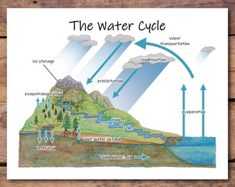 The Water Cycle Diagram: printable classroom poster, earth science homeschool décor