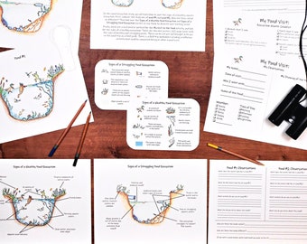 Pond Ecosystem Mini Study: science activities and worksheets - classroom and field trip!