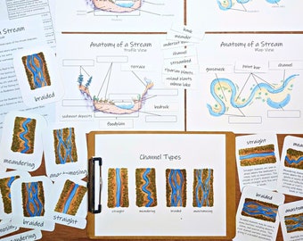 Stream & River Mini Study: anatomy diagrams with student sheets, flashcards, vocab matching, and more!