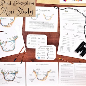 Pond Ecosystem Mini Study: science activities and worksheets - classroom and field trip!