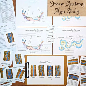 Stream & River Mini Study: anatomy diagrams with student sheets, flashcards, vocab matching, and more!