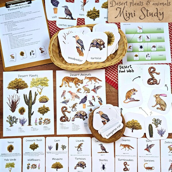 Desert Animals & Plants mini study: wildlife of deserts, nature study, ecology lesson plan, classroom printables, homeschool unit study