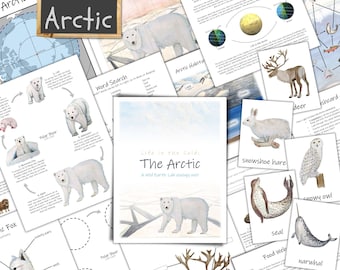 The Arctic Unit: winter homeschool, nature study, food web, climate change, Arctic animals, life cycle, polar bear, reindeer, unit study