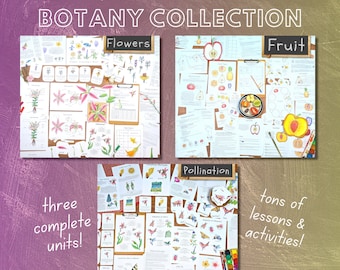 Botany Collection: 3 Plant Biology Homeschool Units (PDF Download)