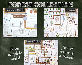 Forest Unit Study Bundle: Ecology, Math, & Biology (PDF Download)
