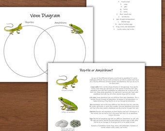 Amphibian vs Reptile: Venn diagram activity! Compare and contrast, biology lesson plan, homeschool unit, nature study, science worksheets