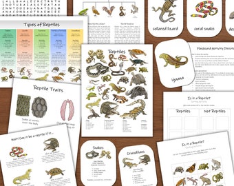 Reptile Traits & Types: a science mini study! Biology lesson plan, animal unit study, homeschool science, nature study, herpetology