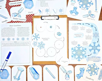 Snowflake Mini Study: learn about the formation and types of snowflakes! Activities for kids, flashcards, and classroom posters!