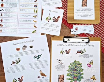 Symbiotic Relationships Mini Study: forest ecosystem lesson plan, symbiosis in ecology, environmental science unit, homeschool printables