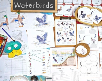 Waterfowl & Waterbirds Unit: classroom materials, homeschool unit study, science activity, nature study, natural selection, wildlife biology