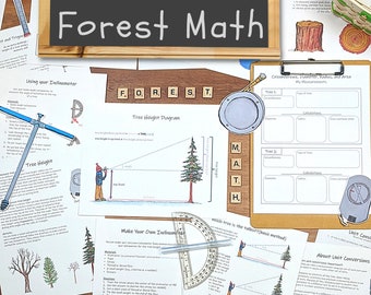 Math in the Forest: a nature-based STEAM unit study for kids!