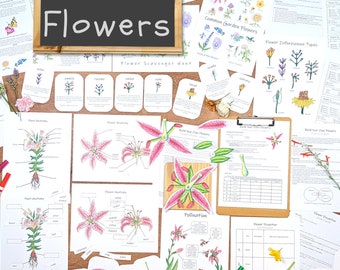 Flower Unit: study plant anatomy, types of flowers, flower dissection, & more! botany unit study - science worksheets - lab activities