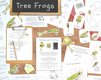 Jumping Frog STEM Unit: Biomimicry, Origami, Life Cycle (PDF Download)
