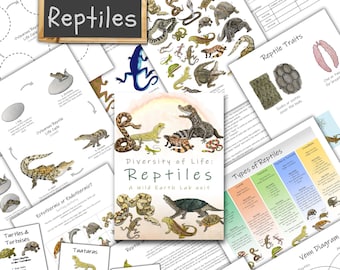 Reptiles Unit: Biodiversity Homeschool Lessons (PDF Download)
