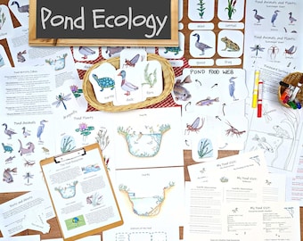 Pond Ecology Unit: Printable Ecosystem Learning Materials (PDF)