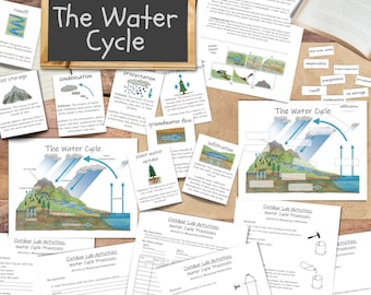 Water Cycle Unit: earth science unit study - with at-home science lab activities!