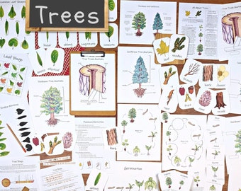 Trees Unit: Homeschool Science Printables & Activities (PDF Download)