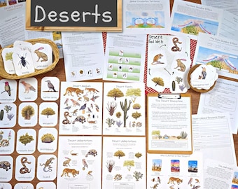 Desert Ecology Unit: Biome Study, Food Webs, Animal Adaptations (PDF)