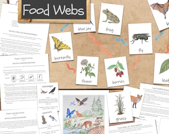 Food Webs Unit: Ecology Activities, Worksheets, & Printables (PDF Download)