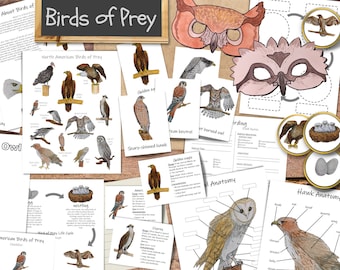 Birds of Prey Unit: Homeschool Nature Lesson & Printables (PDF Download)