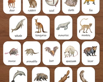 Zoogdieren-flashcards: aquarel montessori driedelige kaarten (pdf-download)