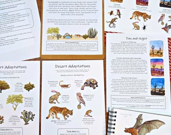 Desert Ecosystem mini study: plant and animal adaptations! Nocturnal, diurnal, & crepuscular! Nature journaling prompts!