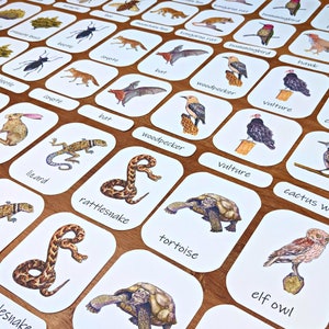 Desert Animals & Plants Three-Part Cards: Montessori-style flashcards, wildlife of deserts, preschool flashcards, forest school activity