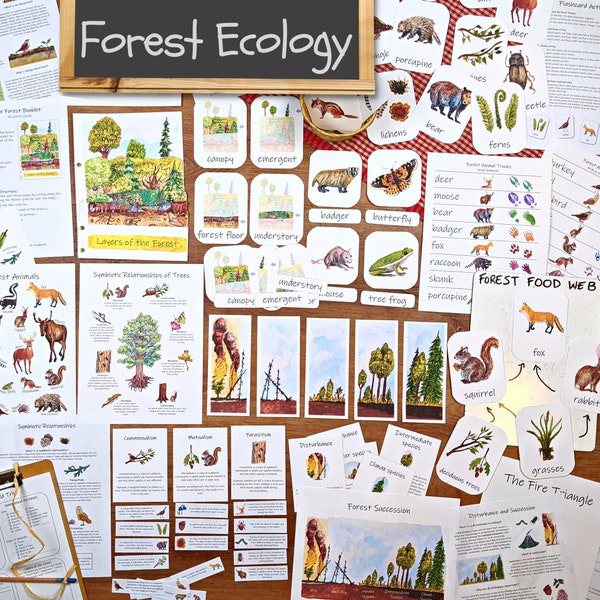 Unidad de Ecología Forestal: ENORME colección de materiales imprimibles de aprendizaje sobre ecosistemas, simbiosis, criaturas del bosque, ecología del fuego, capas de dosel