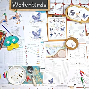 Waterfowl & Waterbirds Unit: classroom materials, homeschool unit study, science activity, nature study, natural selection, wildlife biology
