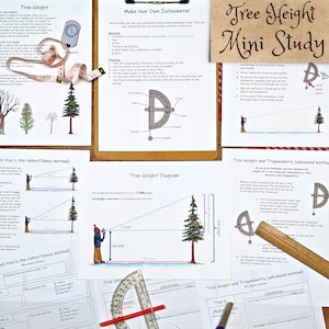 Trees & Trigonometry: calculate tree height using math! Angles lesson plan, homeschool math, forest school, math activities, STEM for kids