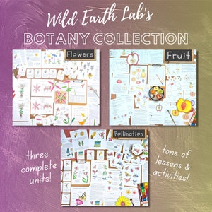 Botany Collection: study plants, pollination, and more! Plant unit studies, biology lessons, homeschool printables, plant lesson plans