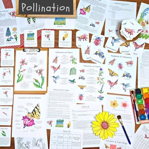 Pollination Unit: activities, lesson plan, and classroom materials! Nature study, homeschool, environmental science curriculum