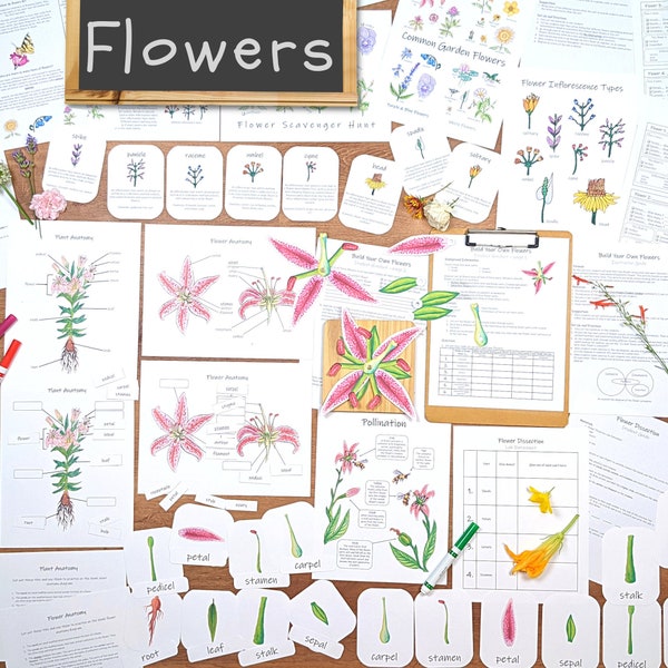 Flower Unit: study plant anatomy, types of flowers, flower dissection, & more! botany unit study - science worksheets - lab activities