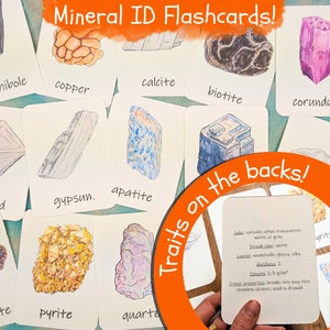 Mineral Erinnerungskarten: doppelseitig, mit Infos zur Mineralbestimmung auf der Rückseite! 20 häufig vorkommende Mineralien