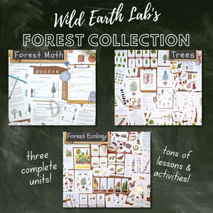 Forest Collection: Three complete tree and forest-themed unit studies! Covering forest ecology, math, plant biology, and more!
