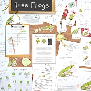 Jumping Frog STEM Unit: science and engineering, biomimicry, unit study, homeschool lesson, frog life cycle, frog anatomy, origami for kids